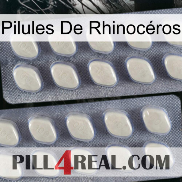 Pilules De Rhinocéros 07